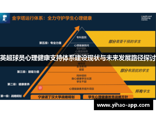英超球员心理健康支持体系建设现状与未来发展路径探讨