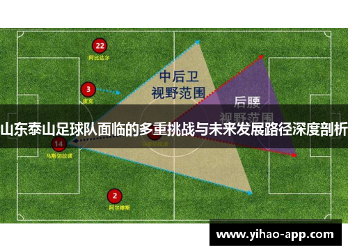 山东泰山足球队面临的多重挑战与未来发展路径深度剖析